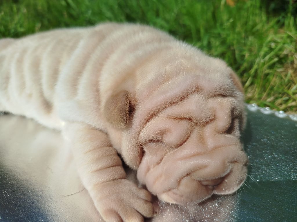 Des ptits bebes sont nés 